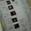 Crew11